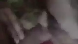 فيديو التحقق