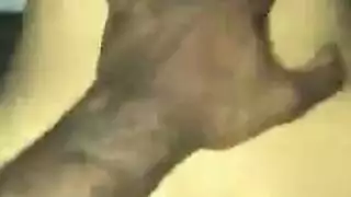 قضيب أسود يملأ فتاة بيضاء مقرنة بحلمات طويلة في مشهد بورنو