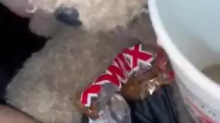 أول ظهور عذراء عربية خام اختراق شرجي ومهبلي متشدد