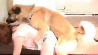 بورن مع الحيوانات: كلب عنيف ينيك ربة منزل مثيرة