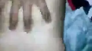 الكلبة مجنون