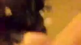 نائب الرئيس بالفرشاة حزم على مثليه فوضوي